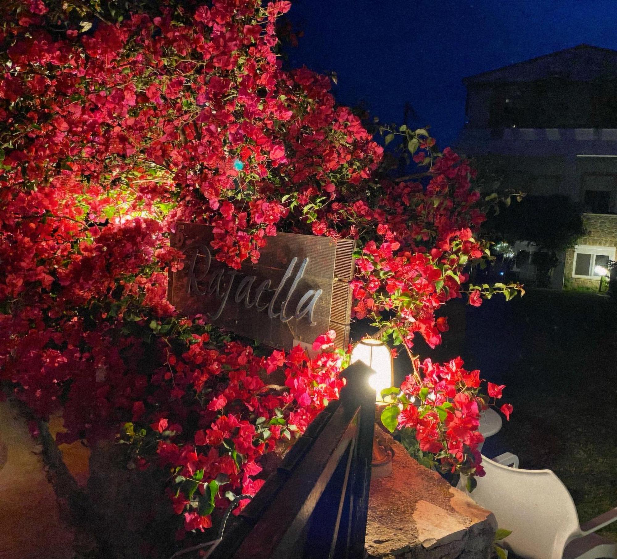 Irene'S Maisonette At Rafaella Resort Kokóni Kültér fotó